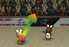 Кролики баскетболисты