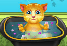 Кот Рыжик принимает ванну