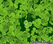 Lucky Clover