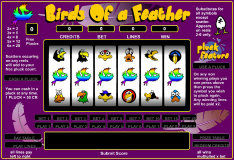 Birds of a Feather Slots